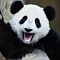 Hei Panda